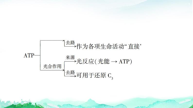 苏教版高中生物必修1第3章第4节素能提升课光合作用和细胞呼吸过程的综合课件05