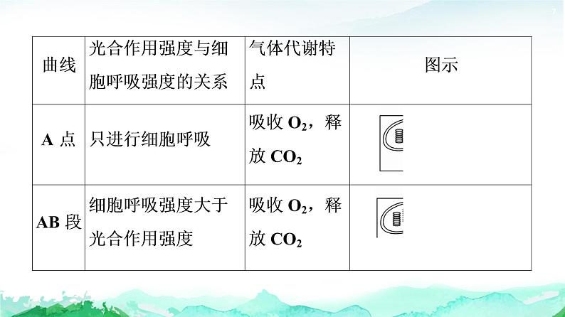 苏教版高中生物必修1第3章第4节素能提升课光合作用和细胞呼吸过程的综合课件07