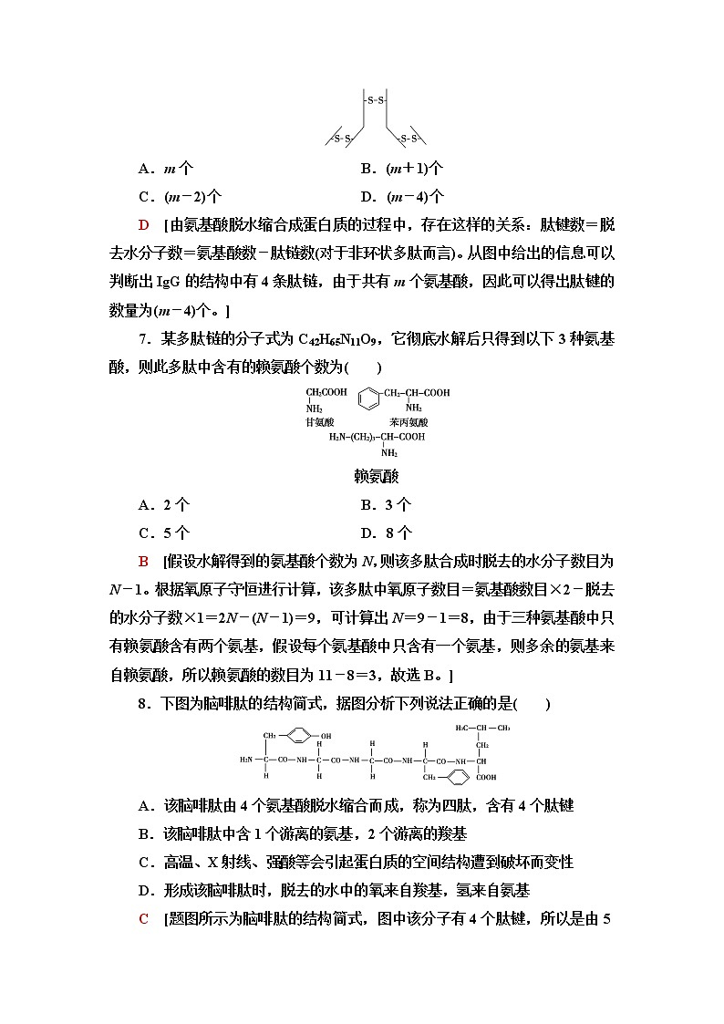 苏教版高中生物必修1课后素养落实3细胞的功能主要由蛋白质完成含答案第3页