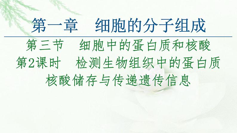 苏教版高中生物必修1第1章第3节第2课时检测生物组织中的蛋白质核酸储存与传递遗传信息课件01