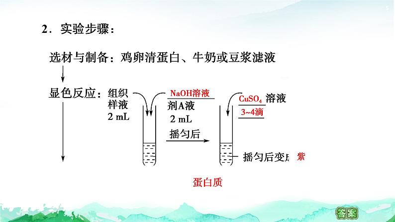 苏教版高中生物必修1第1章第3节第2课时检测生物组织中的蛋白质核酸储存与传递遗传信息课件05