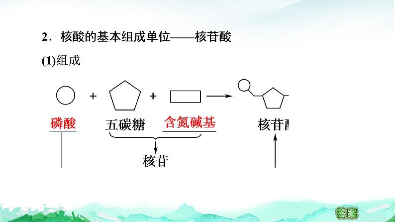 苏教版高中生物必修1第1章第3节第2课时检测生物组织中的蛋白质核酸储存与传递遗传信息课件07