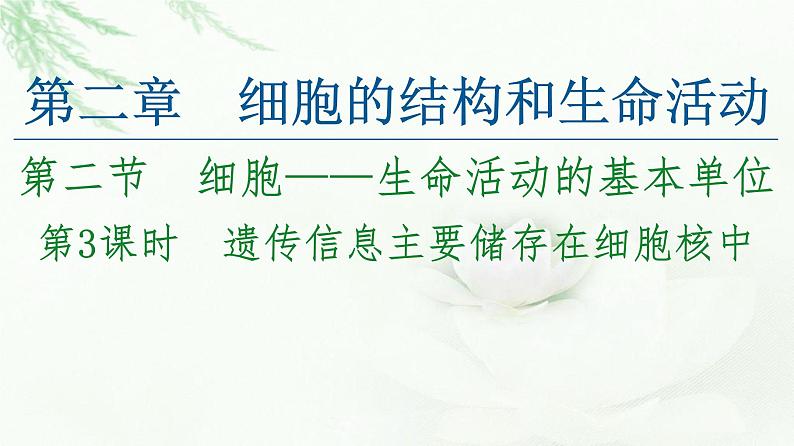 苏教版高中生物必修1第2章第2节第3课时遗传信息主要储存在细胞核中课件第1页