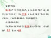 浙科版高中生物必修1第1章第2節(jié)第1課時碳骨架、糖類與脂質(zhì)課件