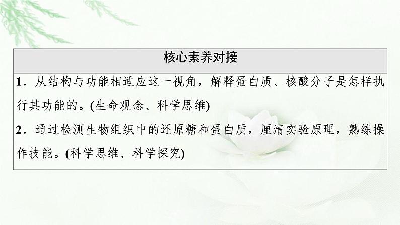 浙科版高中生物必修1第1章第2节第2课时蛋白质与核酸课件第3页