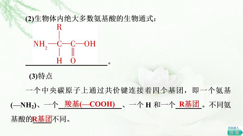 浙科版高中生物必修1第1章第2节第2课时蛋白质与核酸课件第7页