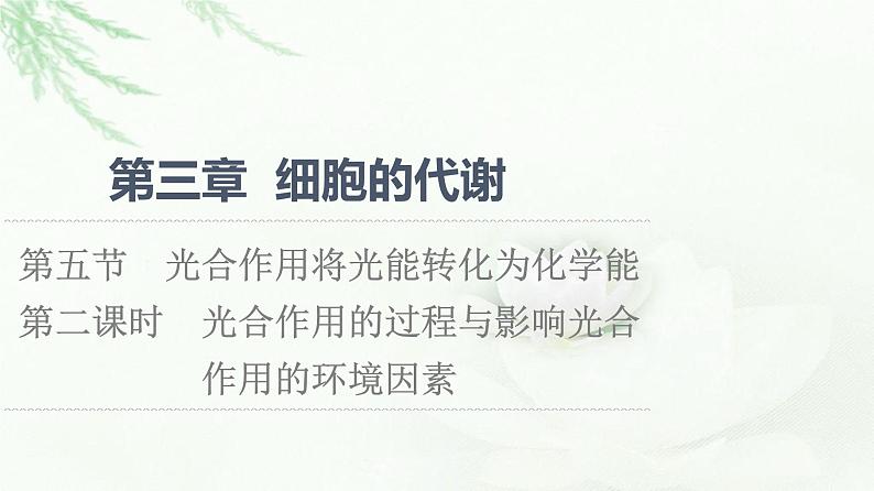 浙科版高中生物必修1第3章第5节第2课时光合作用的过程与影响光合作用的环境因素课件第1页