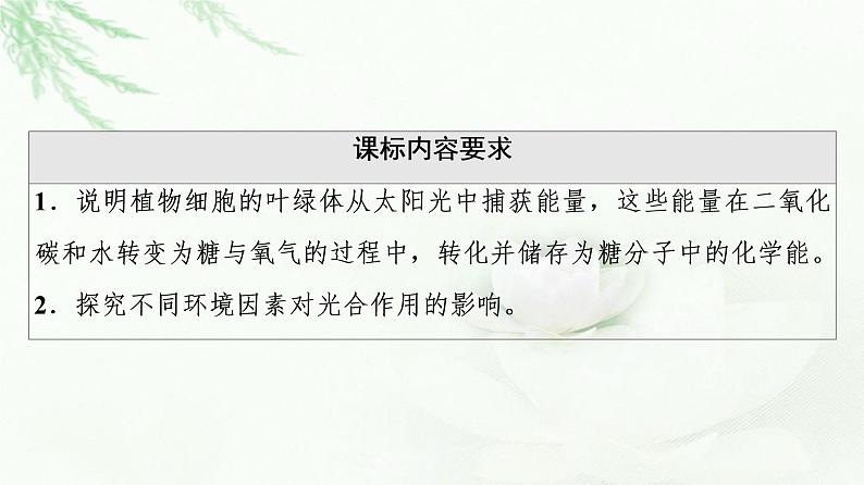 浙科版高中生物必修1第3章第5节第2课时光合作用的过程与影响光合作用的环境因素课件第2页
