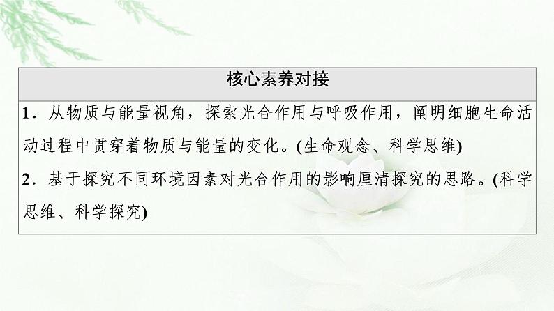 浙科版高中生物必修1第3章第5节第2课时光合作用的过程与影响光合作用的环境因素课件第3页