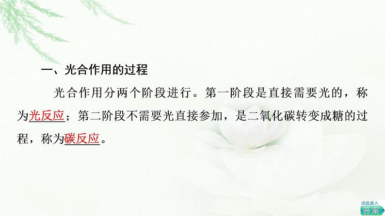 浙科版高中生物必修1第3章第5节第2课时光合作用的过程与影响光合作用的环境因素课件第5页