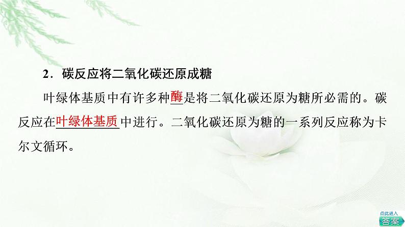 浙科版高中生物必修1第3章第5节第2课时光合作用的过程与影响光合作用的环境因素课件第8页