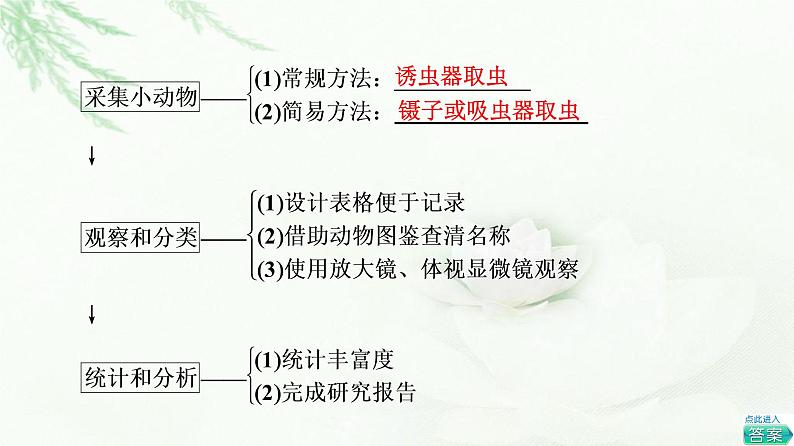 人教版高中生物选择性必修2第2章探究实践研究土壤中小动物类群的丰富度课件第5页