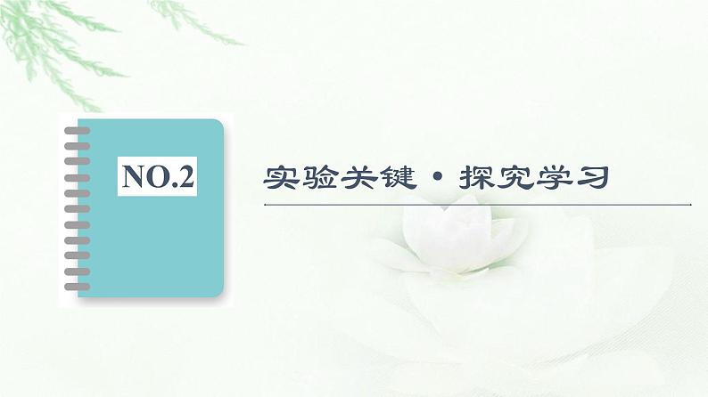 人教版高中生物选择性必修2第2章探究实践研究土壤中小动物类群的丰富度课件第7页