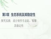 人教版高中生物选择性必修2第3章探究实践设计制作生态缸，观察其稳定性课件