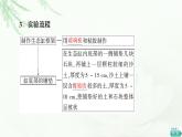 人教版高中生物选择性必修2第3章探究实践设计制作生态缸，观察其稳定性课件