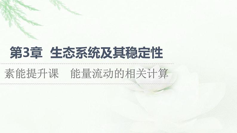 人教版高中生物选择性必修2第3章素能提升课能量流动的相关计算课件01