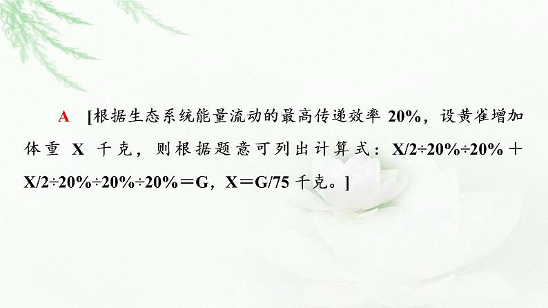 人教版高中生物选择性必修2第3章素能提升课能量流动的相关计算课件08