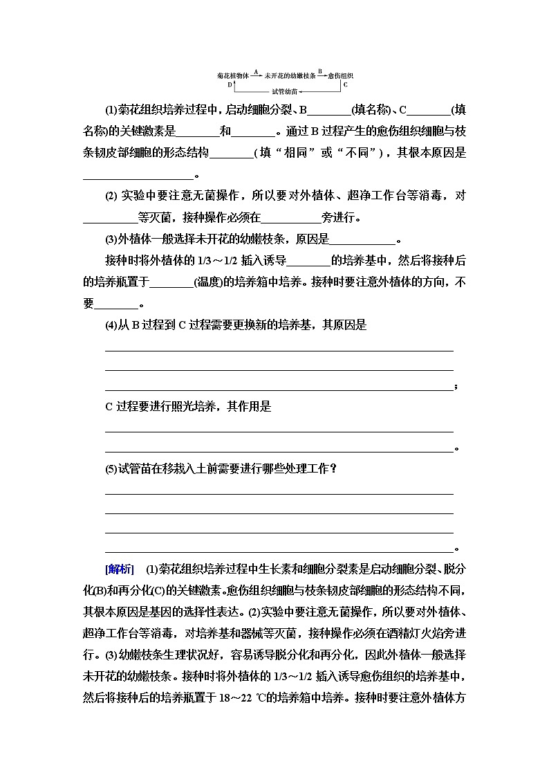 人教版高中生物选择性必修3生物技术与工程课后素养落实5植物细胞工程的基本技术含答案第3页