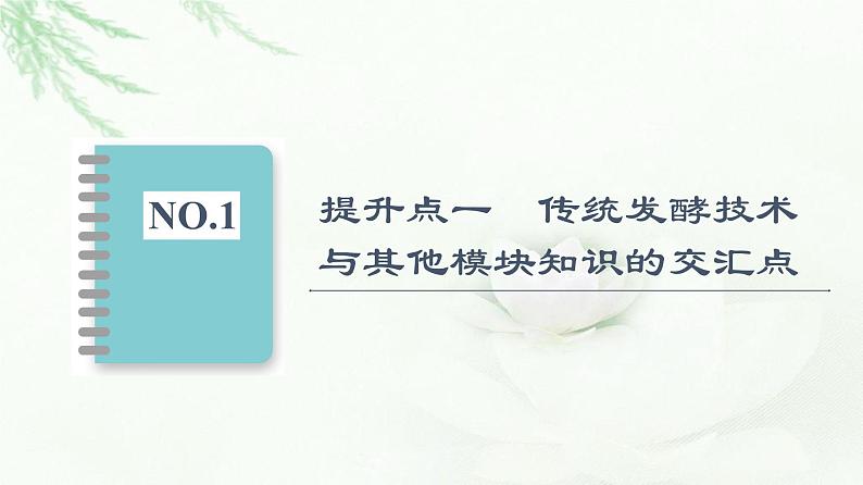 人教版高中生物选择性必修3生物技术与工程第1章素能提升课发酵工程与其他模块知识的综合课件02