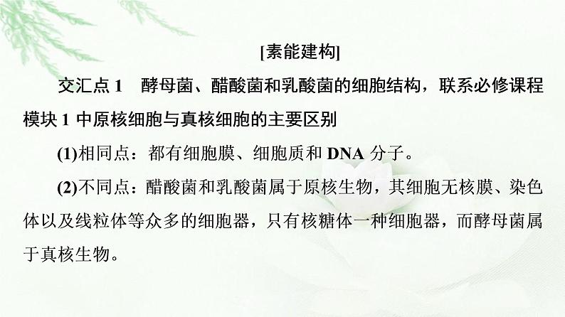 人教版高中生物选择性必修3生物技术与工程第1章素能提升课发酵工程与其他模块知识的综合课件03