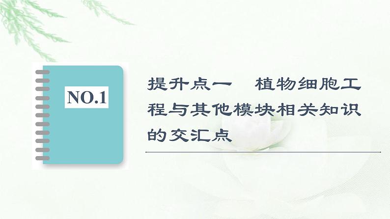 人教版高中生物选择性必修3生物技术与工程第2章素能提升课细胞工程与其他模块相关知识的综合课件02