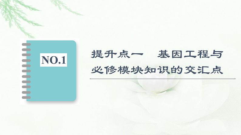 人教版高中生物选择性必修3生物技术与工程第3章素能提升课基因工程与其他模块知识的综合课件02