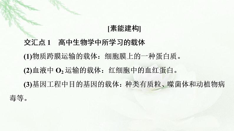 人教版高中生物选择性必修3生物技术与工程第3章素能提升课基因工程与其他模块知识的综合课件03