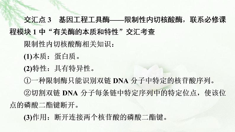 人教版高中生物选择性必修3生物技术与工程第3章素能提升课基因工程与其他模块知识的综合课件06