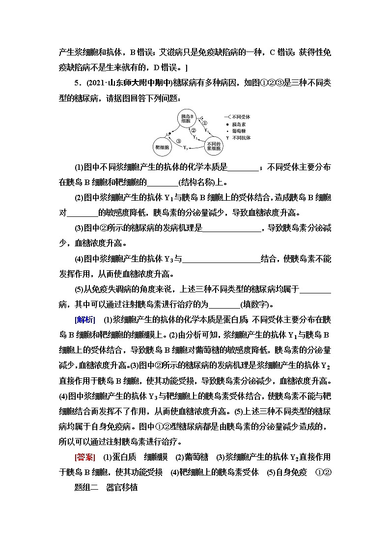 苏教版高中生物选择性必修1稳态与调节课后素养落实13人体免疫功能异常含答案 试卷03