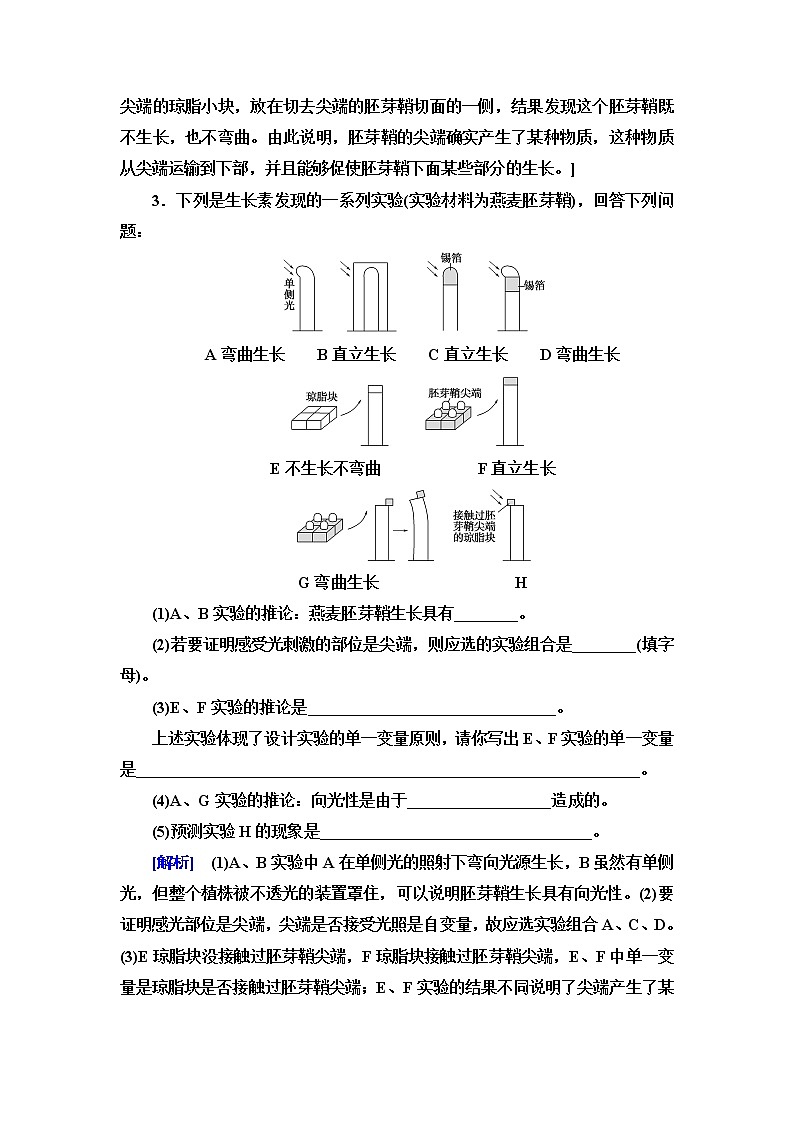 苏教版高中生物选择性必修1稳态与调节课后素养落实14植物生长素含答案 试卷02