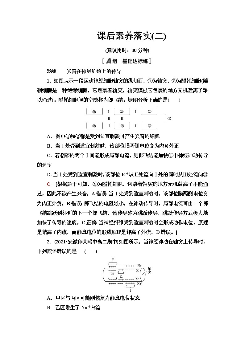 苏教版高中生物选择性必修1稳态与调节课后素养落实2动作电位的产生和传导含答案 试卷01