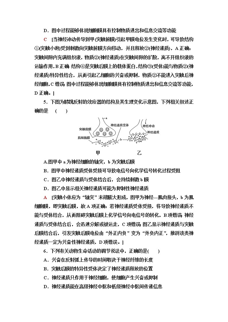 苏教版高中生物选择性必修1稳态与调节课后素养落实2动作电位的产生和传导含答案 试卷03