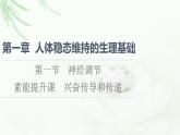 苏教版高中生物选择性必修1稳态与调节第1章第1节素能提升课兴奋传导和传递课件