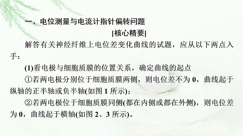 苏教版高中生物选择性必修1稳态与调节第1章第1节素能提升课兴奋传导和传递课件02