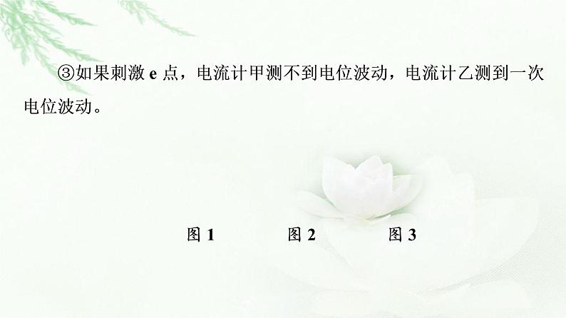 苏教版高中生物选择性必修1稳态与调节第1章第1节素能提升课兴奋传导和传递课件04