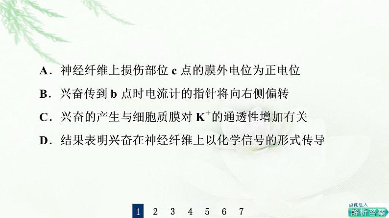 苏教版高中生物选择性必修1稳态与调节第1章第1节素能提升课兴奋传导和传递课件07