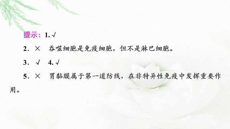 苏教版高中生物选择性必修1稳态与调节第3章第1节第1课时人体的免疫系统和非特异性免疫应答课件08