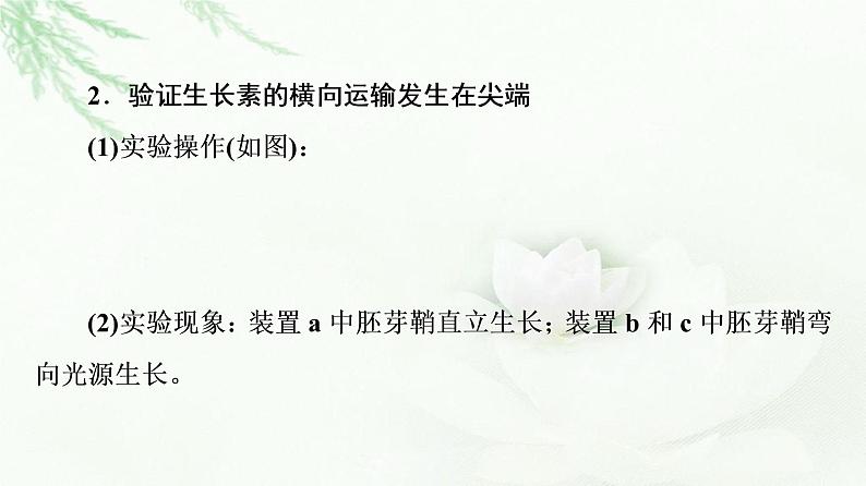 苏教版高中生物选择性必修1稳态与调节第4章第2节素能提升课与生长素有关的实验设计和分析课件03