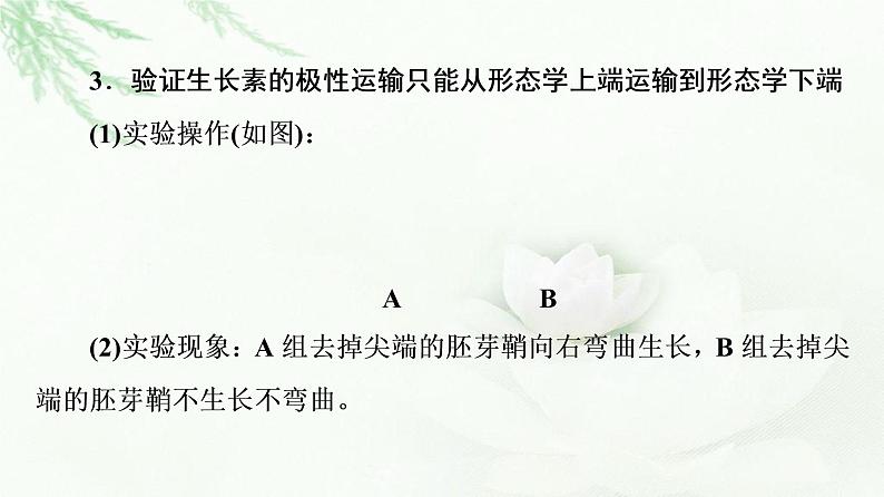 苏教版高中生物选择性必修1稳态与调节第4章第2节素能提升课与生长素有关的实验设计和分析课件04