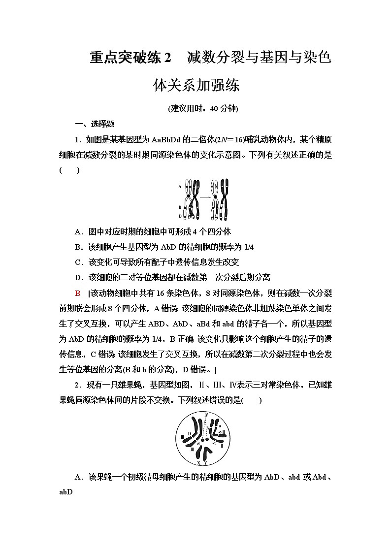 浙科版高中生物必修2遗传与进化重点突破练2减数分裂与基因与染色体关系加强练含答案01