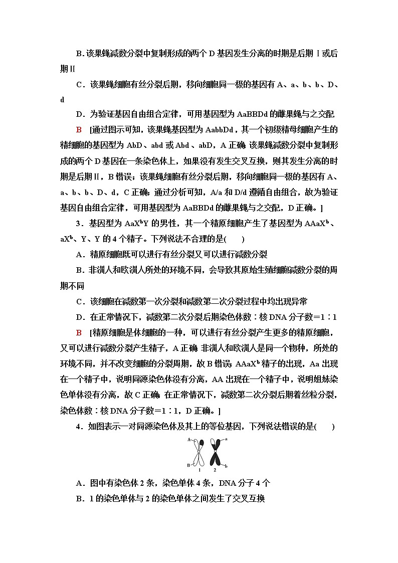 浙科版高中生物必修2遗传与进化重点突破练2减数分裂与基因与染色体关系加强练含答案02