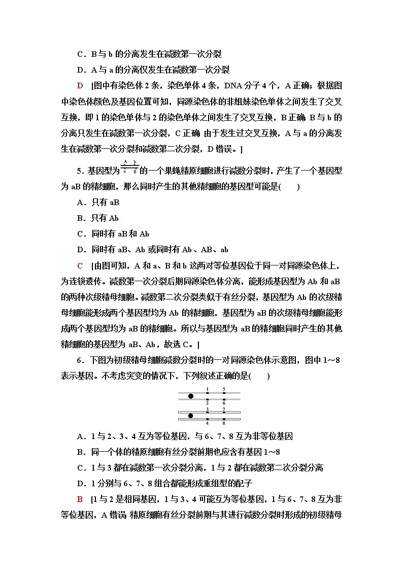 浙科版高中生物必修2遗传与进化重点突破练2减数分裂与基因与染色体关系加强练含答案03
