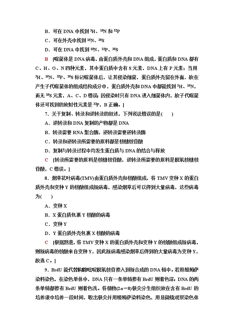 浙科版高中生物必修2遗传与进化阶段综合测评3(第3章)含答案03