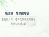 浙科版高中生物必修2遗传与进化第4章素能提升课遗传变异相关的重点题型与解题方法课件