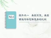 浙科版高中生物必修2遗传与进化第4章素能提升课遗传变异相关的重点题型与解题方法课件