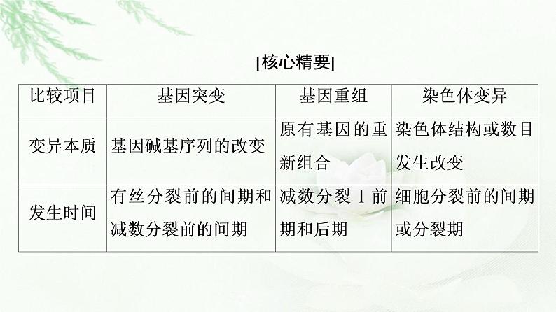 浙科版高中生物必修2遗传与进化第4章素能提升课遗传变异相关的重点题型与解题方法课件第3页