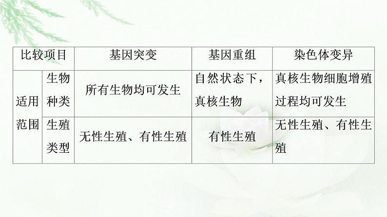 浙科版高中生物必修2遗传与进化第4章素能提升课遗传变异相关的重点题型与解题方法课件第4页