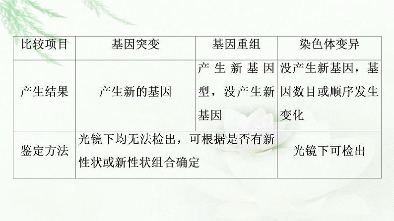 浙科版高中生物必修2遗传与进化第4章素能提升课遗传变异相关的重点题型与解题方法课件第5页