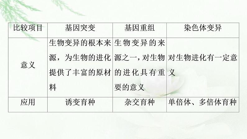 浙科版高中生物必修2遗传与进化第4章素能提升课遗传变异相关的重点题型与解题方法课件第6页