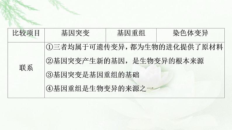 浙科版高中生物必修2遗传与进化第4章素能提升课遗传变异相关的重点题型与解题方法课件第7页